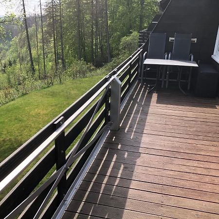 Fewo Nartura: Modern - Idyllisch - Stilvoll - Ruhig Sankt Andreasberg Ngoại thất bức ảnh