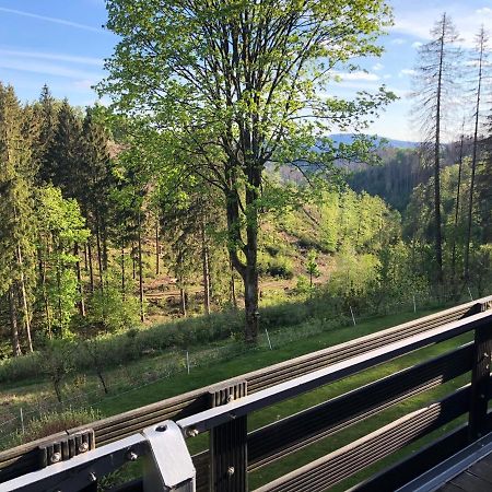 Fewo Nartura: Modern - Idyllisch - Stilvoll - Ruhig Sankt Andreasberg Ngoại thất bức ảnh