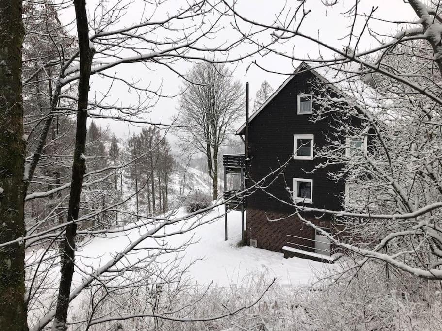 Fewo Nartura: Modern - Idyllisch - Stilvoll - Ruhig Sankt Andreasberg Ngoại thất bức ảnh
