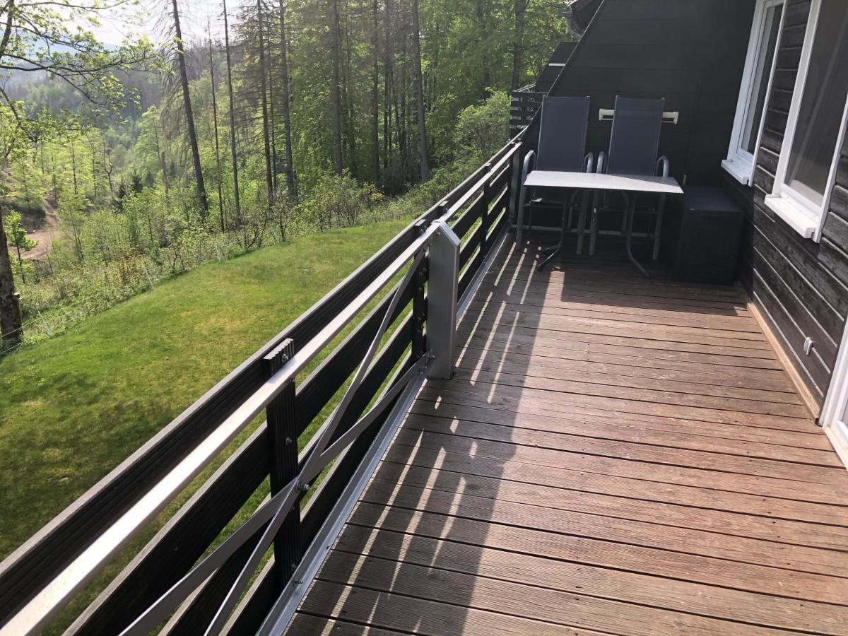 Fewo Nartura: Modern - Idyllisch - Stilvoll - Ruhig Sankt Andreasberg Ngoại thất bức ảnh